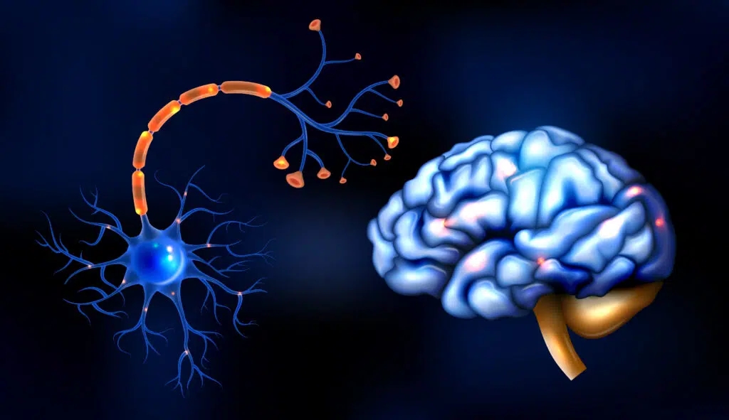 Neurologist